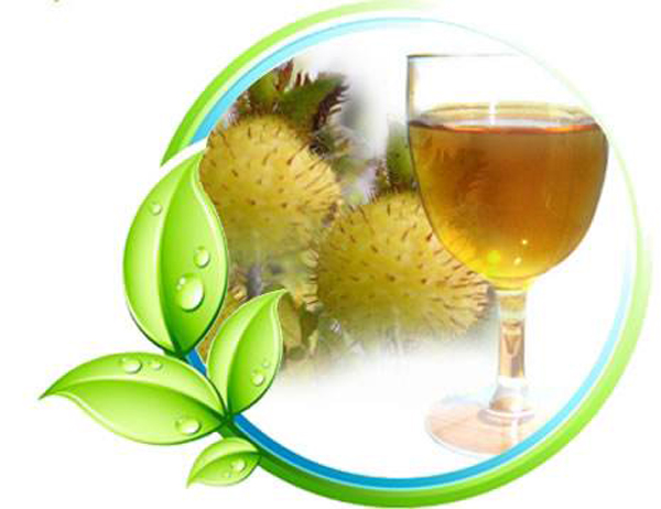 小型刺梨果汁飲料加工設備生產(chǎn)線